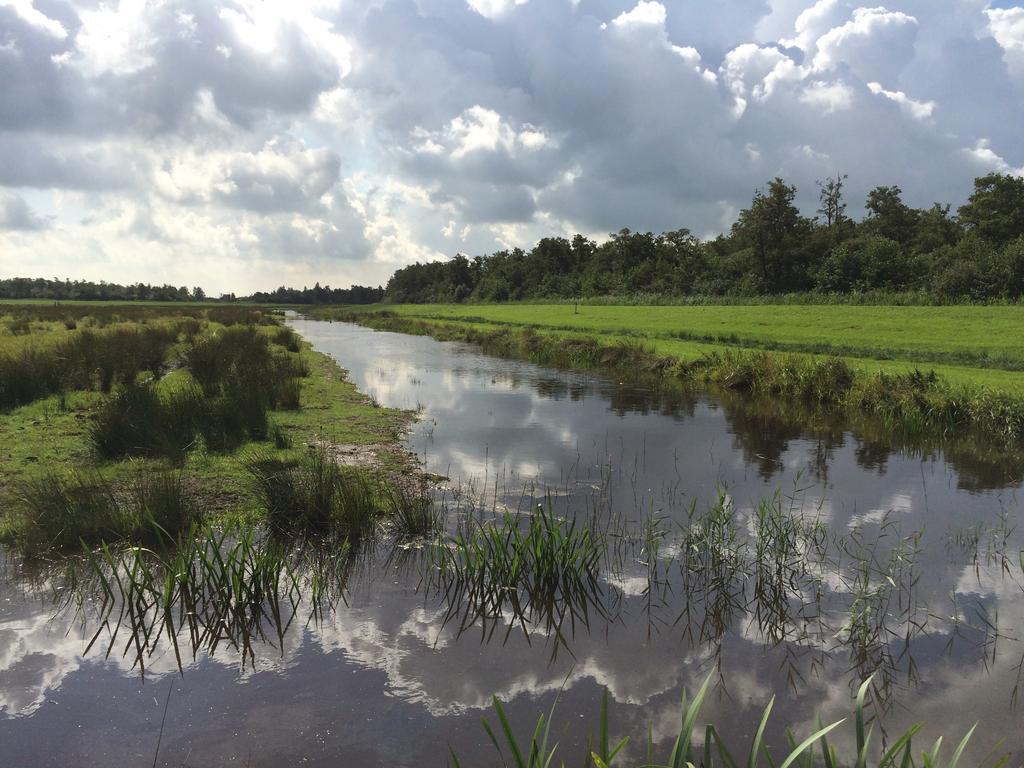 Private Island De Sayter Villa Warten Kültér fotó