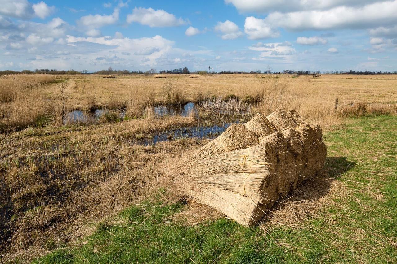 Private Island De Sayter Villa Warten Kültér fotó