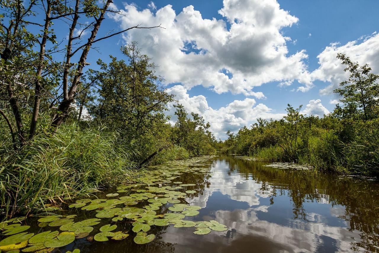 Private Island De Sayter Villa Warten Kültér fotó